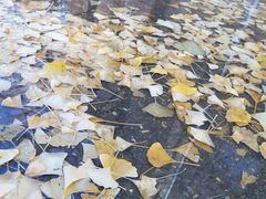 -辽宁大学(崇山校区)
