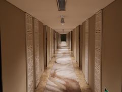 -佛山岭南天地康得思酒店