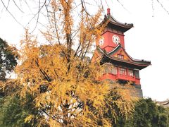 -四川大学(华西校区)