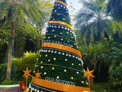 -广州富力丽思卡尔顿酒店