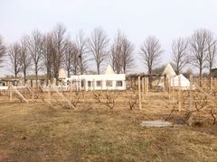 -安德鲁户外烧烤帐篷营地(马泉营店)