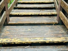 -水濂山森林公园