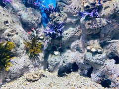 -福州罗源湾海洋世界旅游区