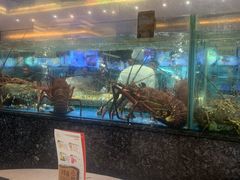 -聚福宝合苑食府(南头镇店)