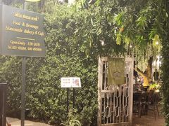 门面-Fern Forest Cafe