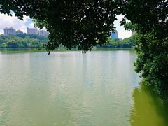 -畔山酒店中餐厅