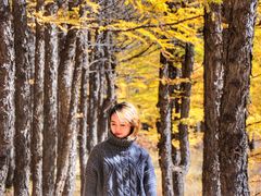 -塞罕坝国家级自然保护区