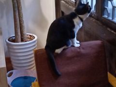 -猫的天空之城概念书店(杭州南宋御街店)