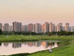 -洋湖国家湿地公园
