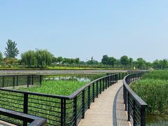 -郑东新区龙湖公共艺术中心