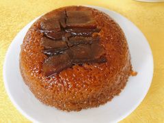 -胖大姐黄辣丁鱼庄(新津店)