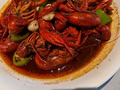 -杨氏青龙虾·羊蝎子(珠江路店)