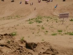 android_upload_pic-南戴河国际娱乐中心