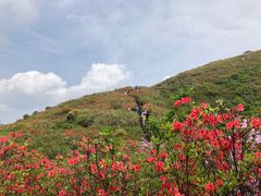 -大围山国家森林公园
