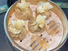 -蒙料·手把肉(望京店)