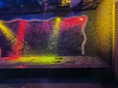 -碧中海汤泉汗蒸酒店