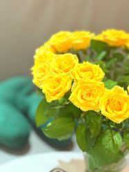 -薇薇安花系SPA