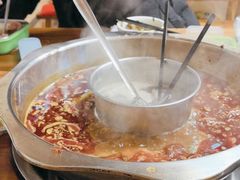 -金鼎雪山牦牛杂火锅(理县总店)