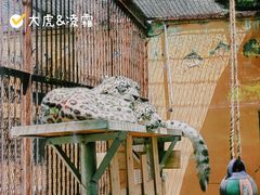 -青藏高原野生动物园