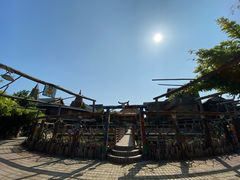 -呀路古热带植物园