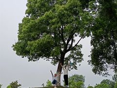 -钟山体育运动公园