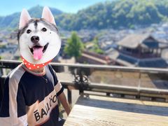 -上席擂茶·新中式青年茶馆(古城店)