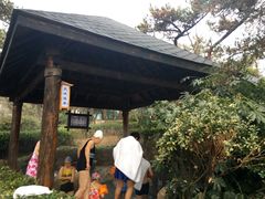 -威海天沐度假区温泉