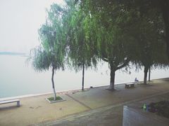 -武昌江滩