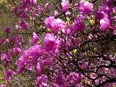 -白草畔自然风景区