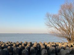 -上海滨江森林公园