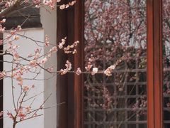 -苏州上方山国家森林公园