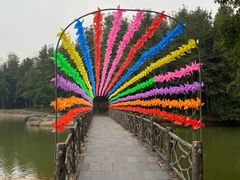 -象山森林公园