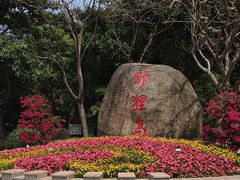 -野狸岛