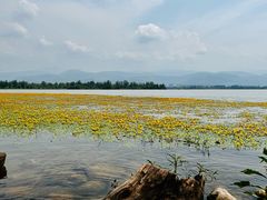 -西昌邛海湿地