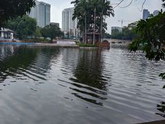 -荔湾湖公园