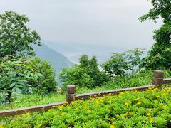 -铁山坪森林公园