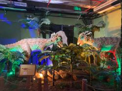 -恐龙探索乐园(磁器口店)