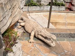 -海口观澜湖火山温泉谷