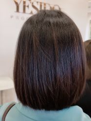 -YESIDO椰岛造型