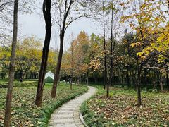 -木塔寺遗址生态公园