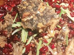 -老板恋上鱼(高新万达店)