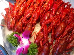 冰镇酒醉小龙虾-红盔甲·小龙虾(天钥桥店)