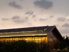 -北京云瑧金陵莲花酒店·莲·川小馆