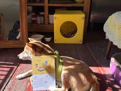 -春风十里咖啡馆