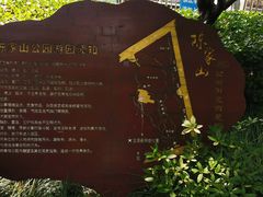 -陈家山荷花公园