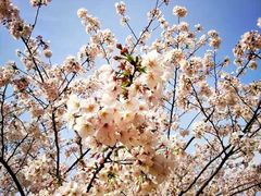 -幕燕滨江·长江观音景区