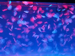 -多彩贵州城极地海洋世界