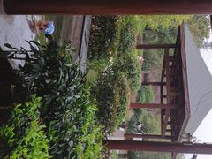 -咸宁万豪温泉谷度假区