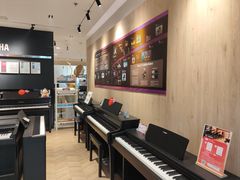 -雅歌音乐培训中心·钢琴培训·乐器培训(交道口店)