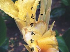 -山东大学(趵突泉校区)